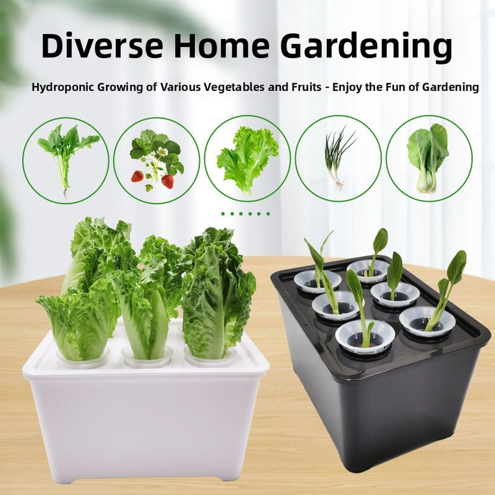 Urban Farming Usa - Kit Ember Tanaman Putih Hitam untuk