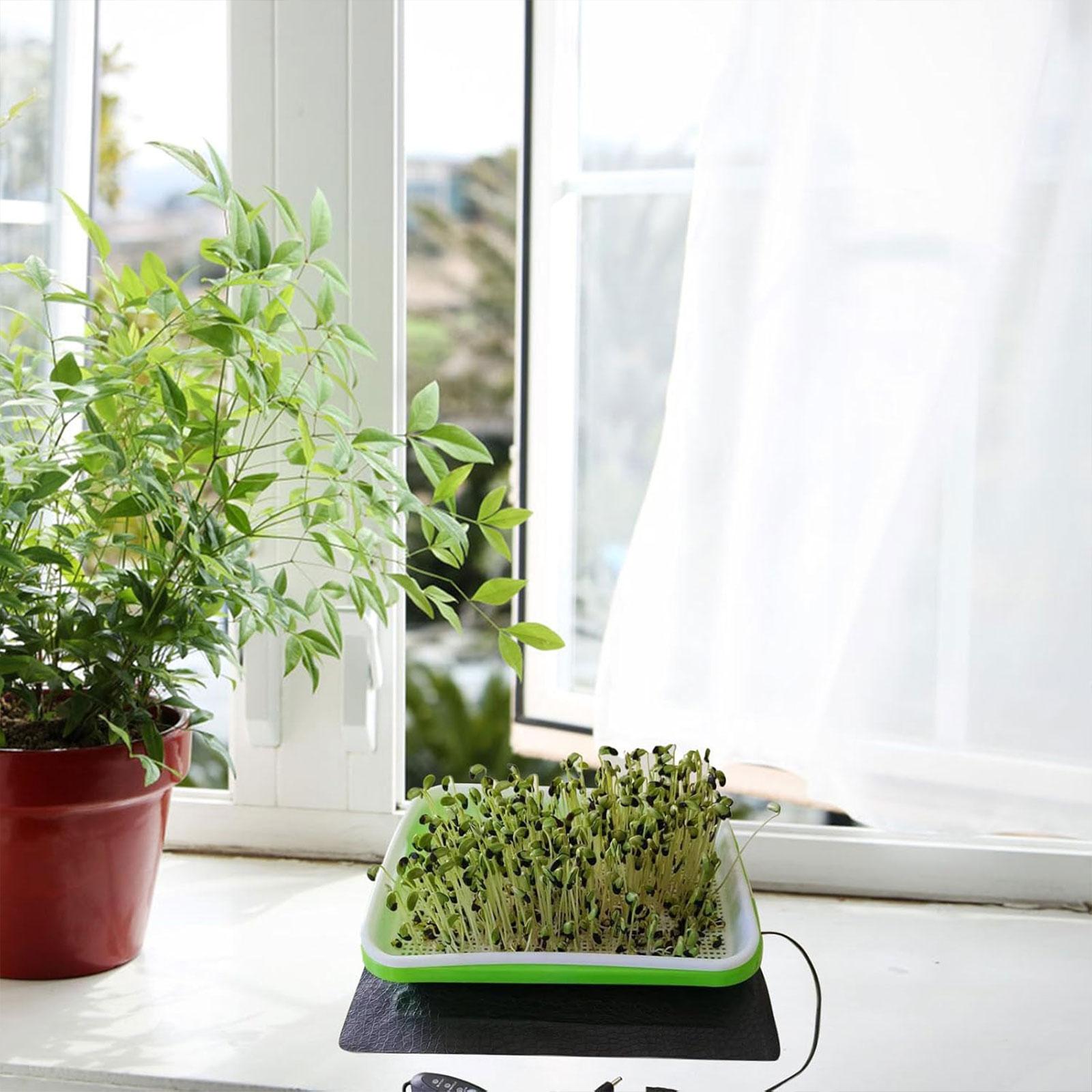 Alas Pemanas Hidroponik untuk  - Seedling Heat Pad ulasan dan harga